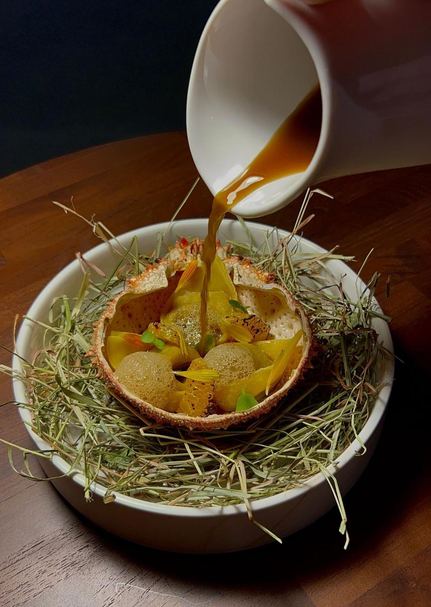 Hotel Maison Pavlov - Restaurant & Spa - Bordeaux Bouscat Le Bouscat Luaran gambar